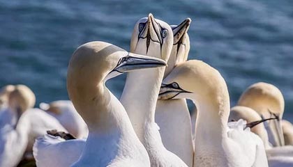 世界杯直播下载-AC米兰！2020之王！圣诞冠军！一觉醒来又是绝杀！